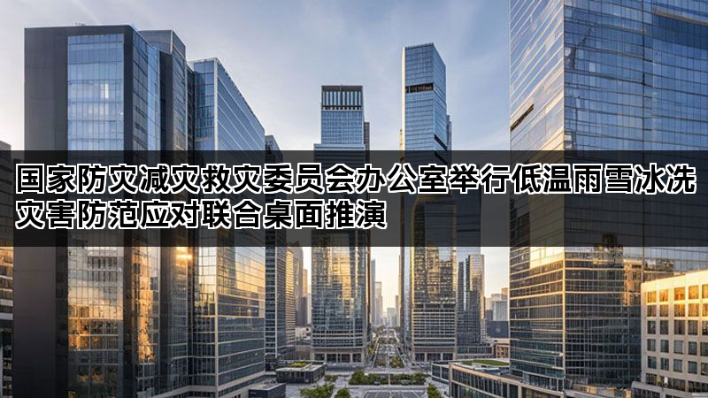 国家防灾减灾救灾委员会办公室举行低温雨雪冰冻灾害防范应对联合桌面推演