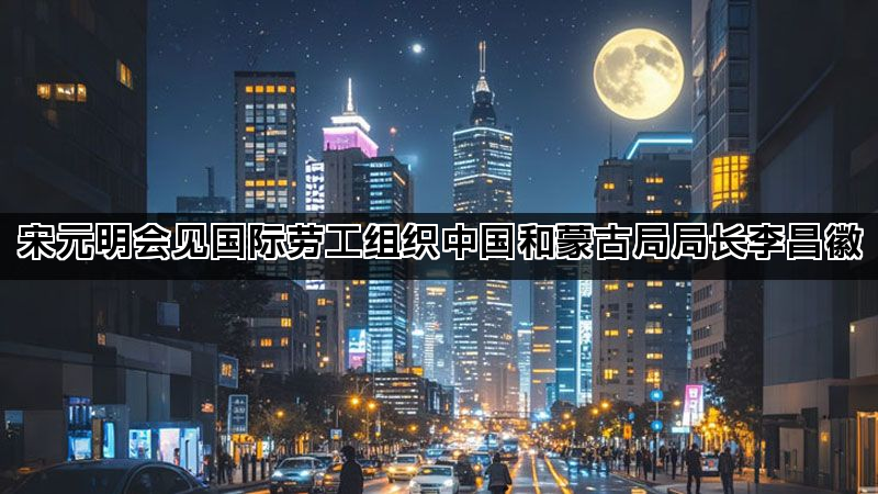 宋元明会见国际劳工组织中国和蒙古局局长李昌徽