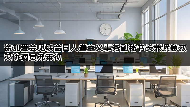 徐加爱会见联合国人道主义事务副秘书长兼紧急救灾协调员弗莱彻